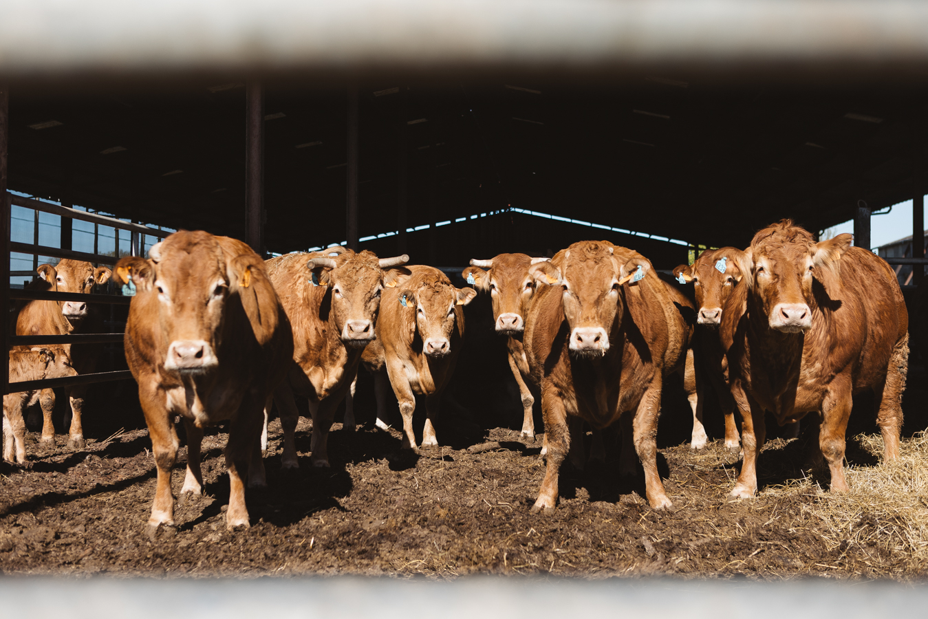 Biofertil – famille Dufraisse