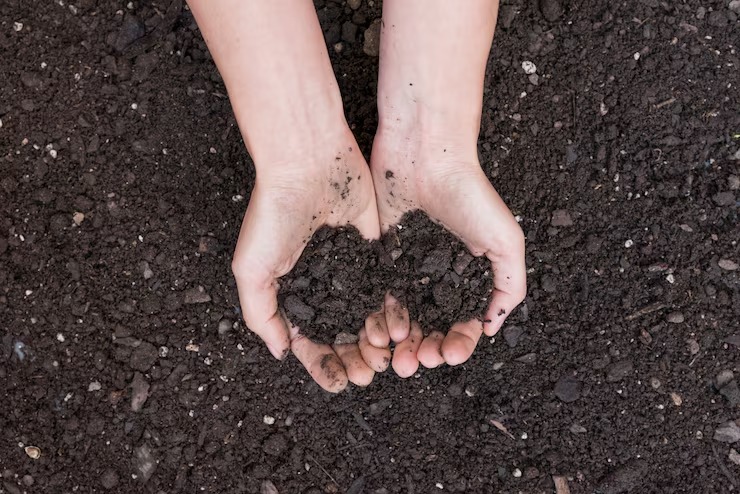 Compost Bofertil tenu dans les mains
